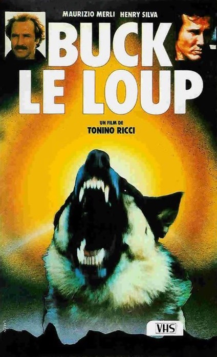 Buck le Loup / Bataille de l’or Buck le Loup / Bataille de l’or