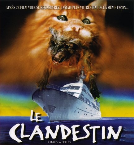 Le Clandestin Le Clandestin