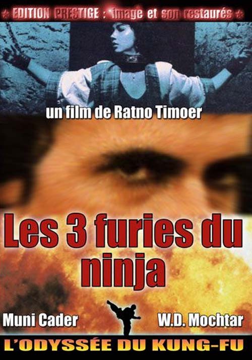 Les 3 Furies du Ninja Les 3 Furies du Ninja
