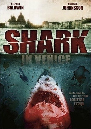 Shark in Venice Shark in Venice