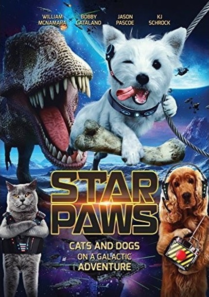Star Paws Star Paws