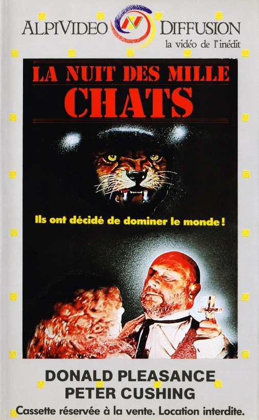 La Nuit des Mille Chats La Nuit des Mille Chats