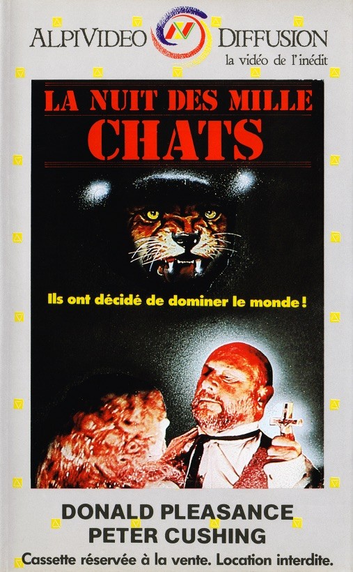 La Nuit des Mille Chats