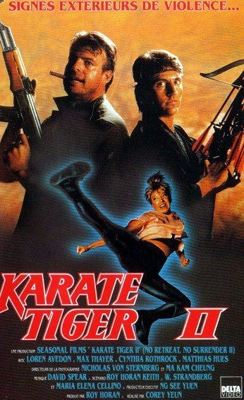 Karate Tiger 2