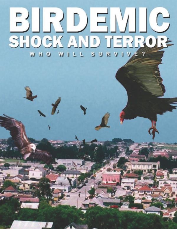 Birdemic : Shock and Terror