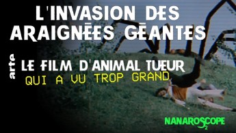 Nanaroscope - Saison 2 Episode 2 : L'invasion des araignées géantes