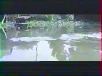 La fête au village : extrait vidéos du film Crocodile Fury