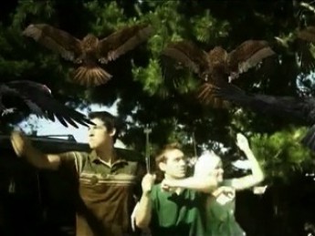 Les Zoiseaux : extrait vidéos du film Birdemic : Shock and Terror