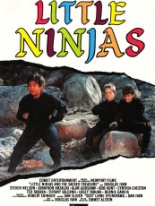 LITTLE NINJAS