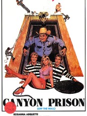 CANYON PRISON