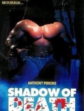 SHADOW OF DEATH / DESTROYER