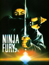 NINJA FURY