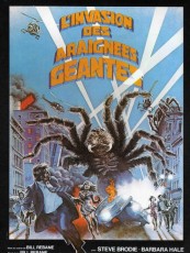 SPIDER, L'HORRIBLE INVASION