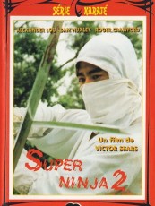 SUPER NINJA 2