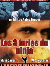 LES 3 FURIES DU NINJA