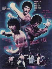 THE CLONES OF BRUCE LEE