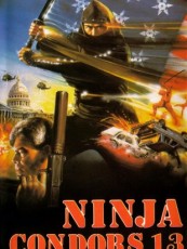NINJA CONDOR 13