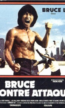 Bruce Contre-Attaque