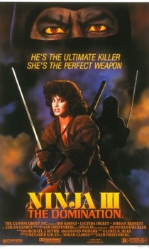 Ninja III
