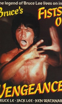 Le Poing vengeur de Bruce