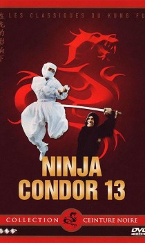 Ninja Condor 13