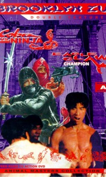 Cobra Vs Ninja