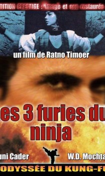 Les 3 Furies du Ninja