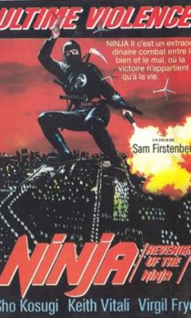 Ninja Ultime Violence
