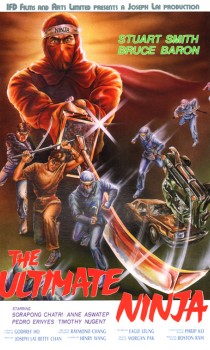 The Ultimate Ninja
