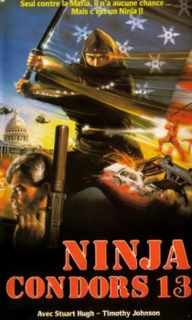 Ninja Condor 13