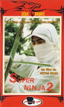 Super Ninja 2