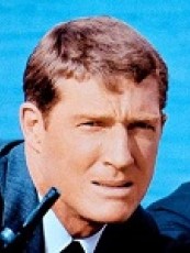Brad Harris