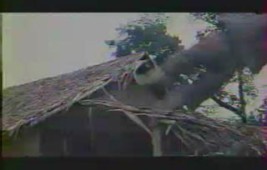 Mannequin en mousse en bois