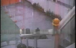 Weng "Kill Bill" Weng