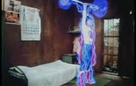 Barbell prend son envol !