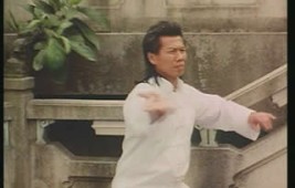 La ballerine du kung-fu