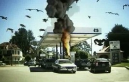 Pearl Harbour aviaire