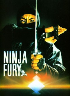 Ninja Fury