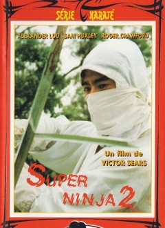 Super Ninja 2