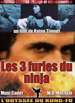 Les 3 Furies du Ninja