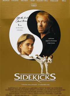 Sidekicks