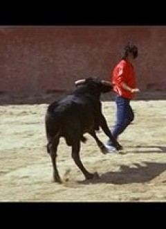 Pendant ce temps, Bruce s&#039;amuse avec un taureau...