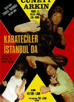 L'affiche turque du film