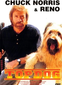 Visuel DVD
