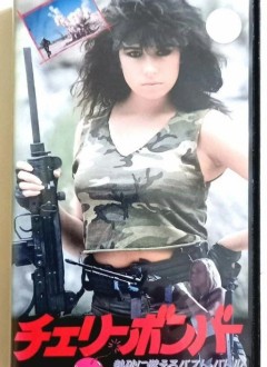 Recto de la VHS nipponne.