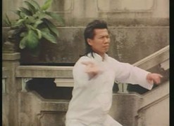 LA BALLERINE DU KUNG-FU